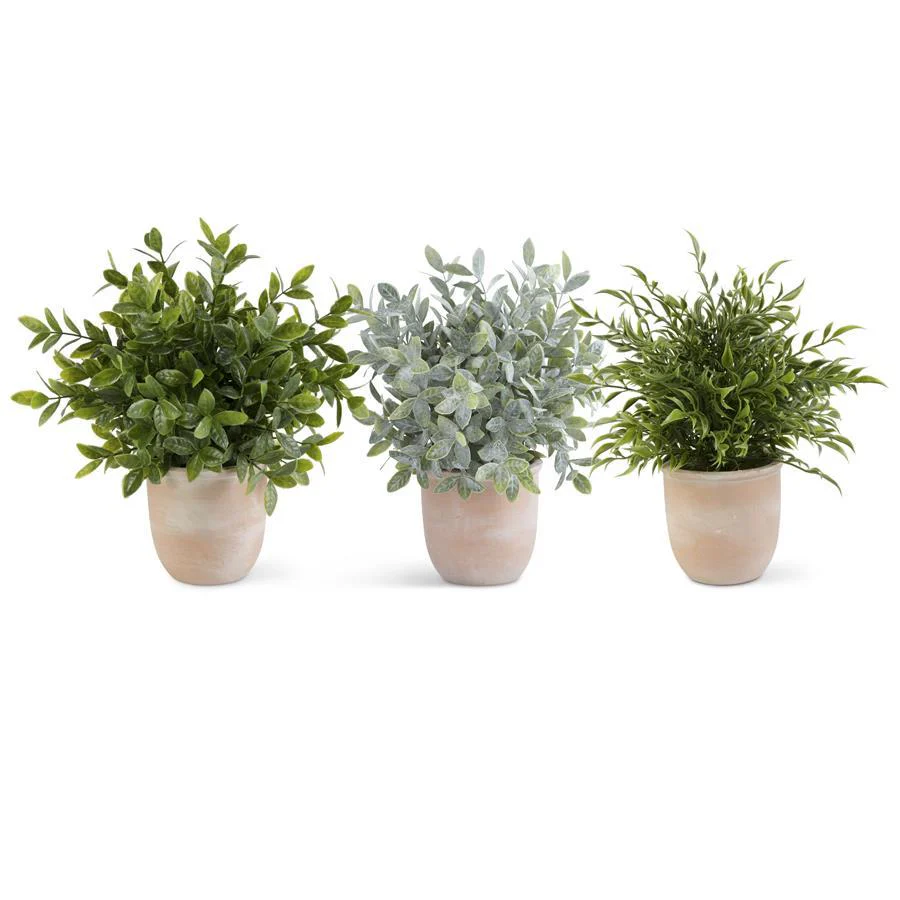 *13in Herb in Terracotta Pots, Asstd