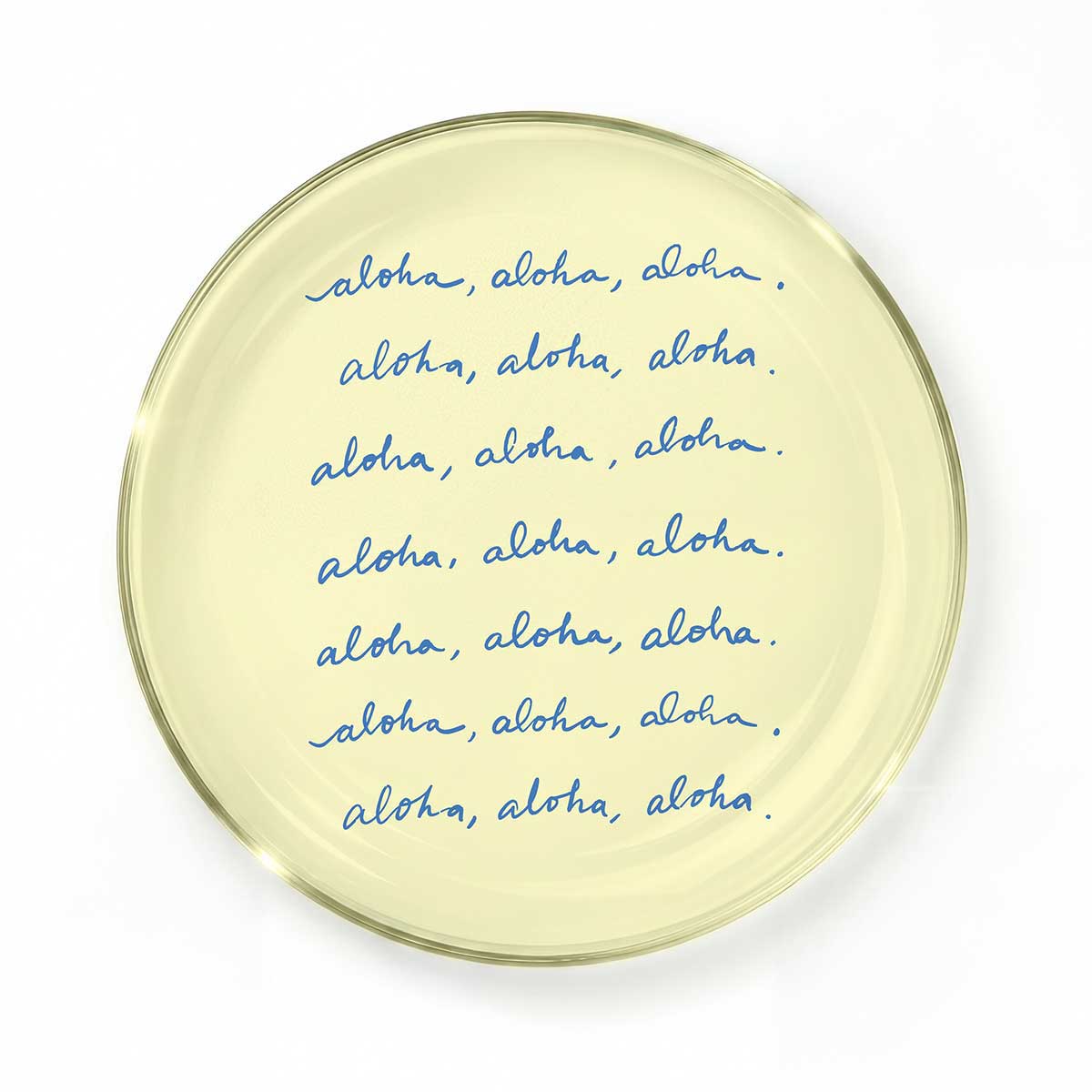 6in Everyday Aloha Trinket Tray