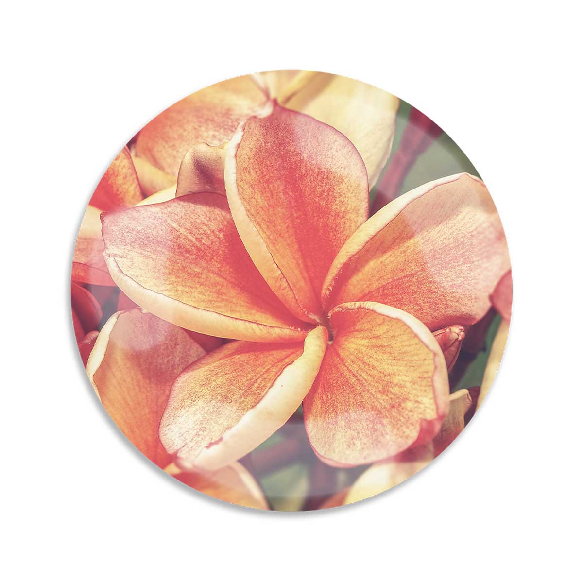 6in Plumeria Bloom Trinket Tray