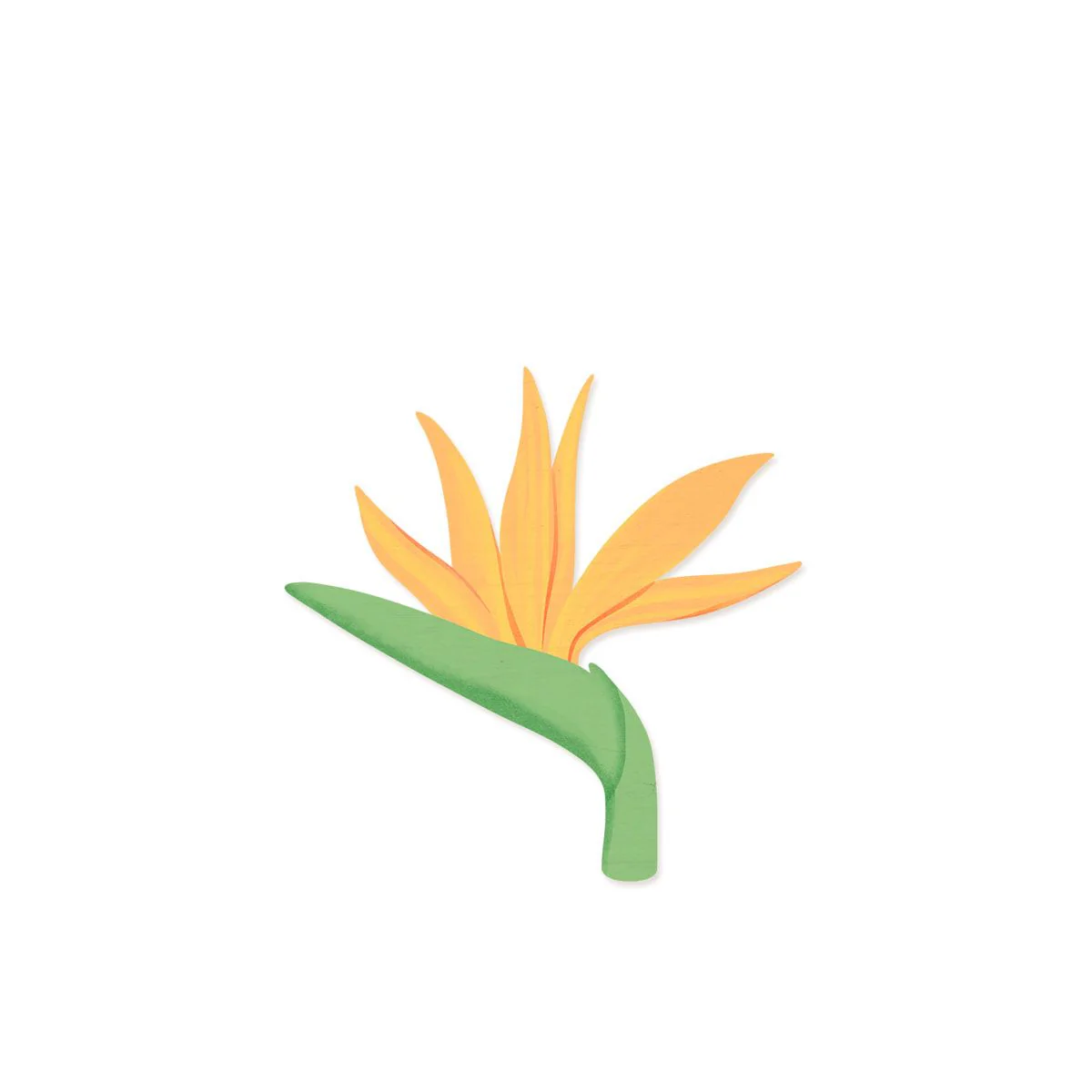 Bird of Paradise Wood Shape