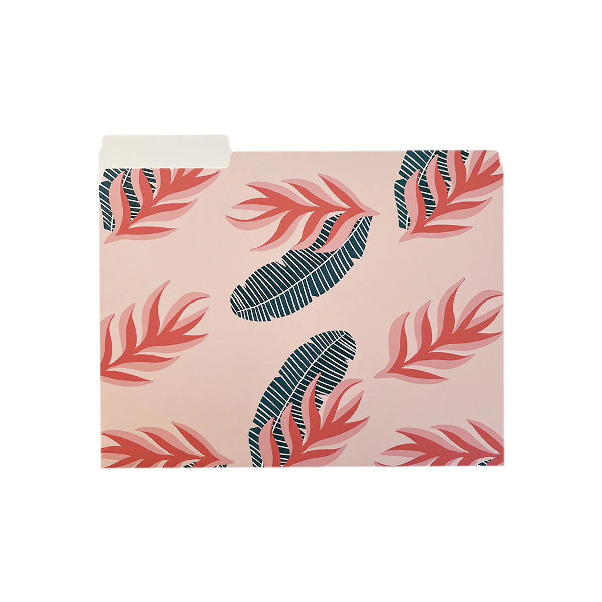 Birds of Paradise File Folders, Set of 3 - Image 2