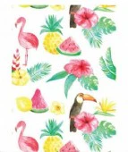 *Fruits, Hibiscus and Birds Postcards - Image 2