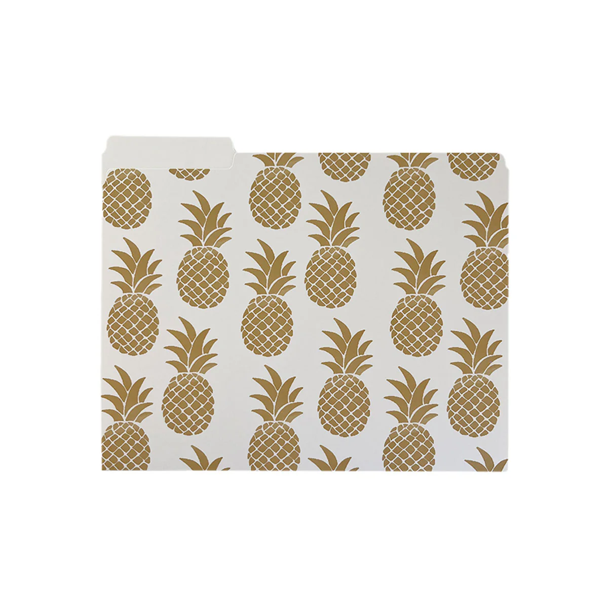 Hawaii Pineapples File Folders, Set of 3 - Image 6