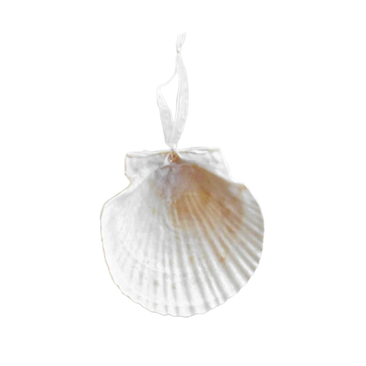 Scallop Shell Ornament with Glitter - Image 4