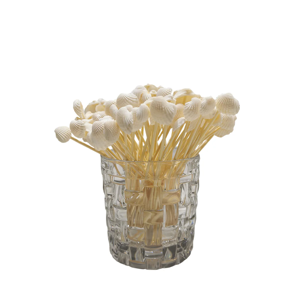 Sea Shell Wood Picks, Set of 24