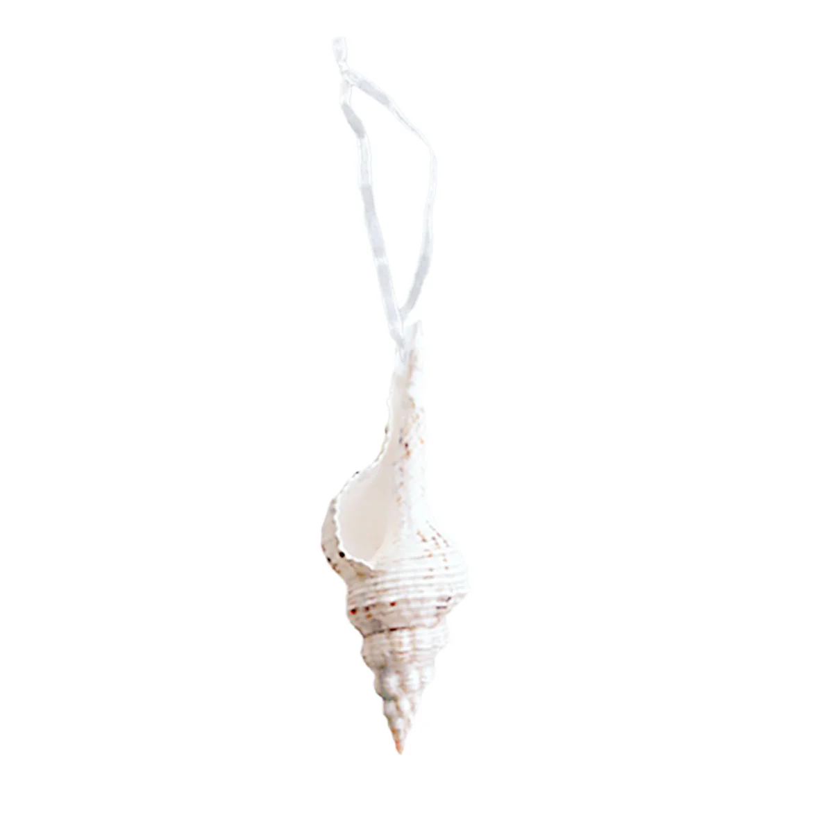 Spindle Shell Ornament with Glitter - Image 6
