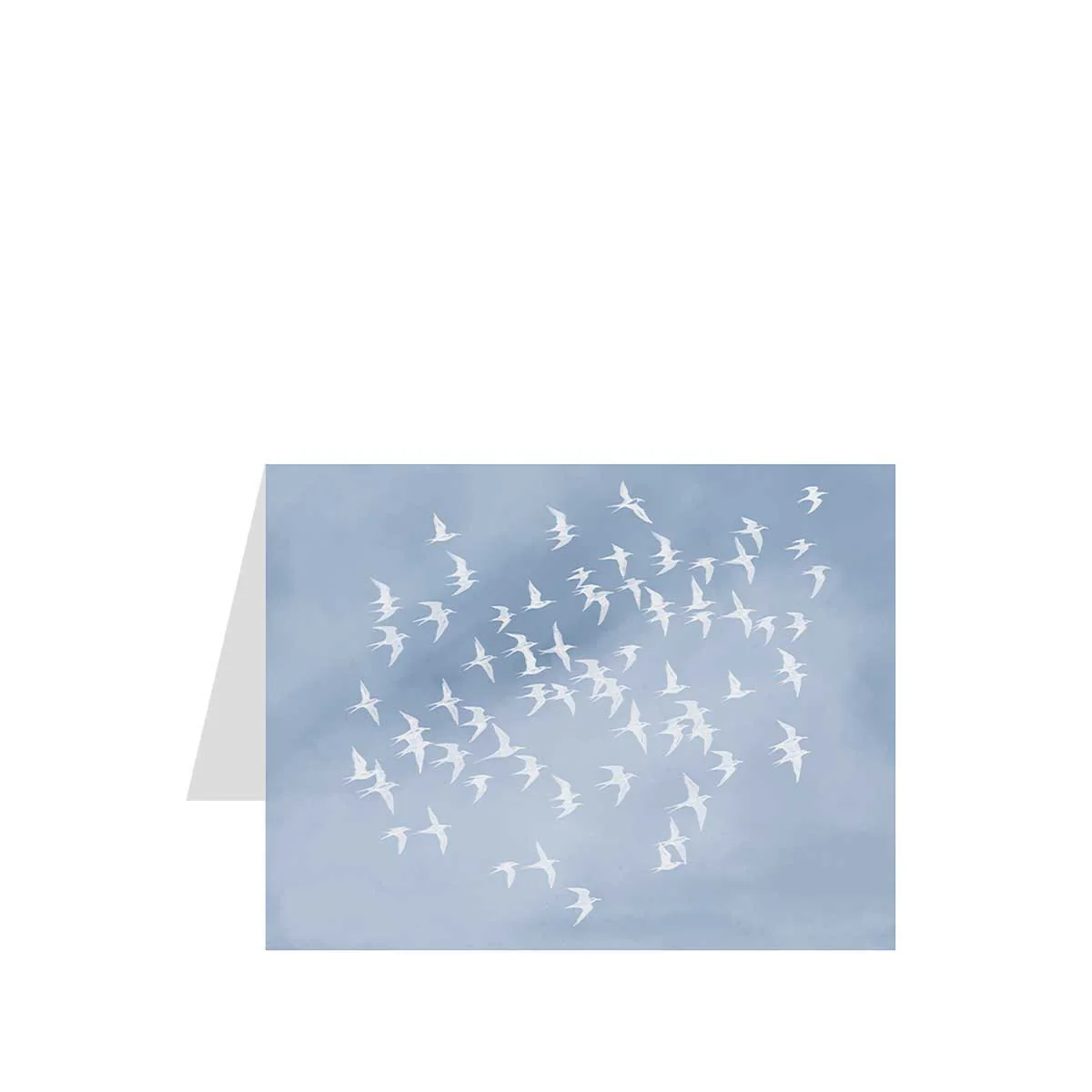 Tropic Splash Greeting Cards, Set of 12 - Image 6